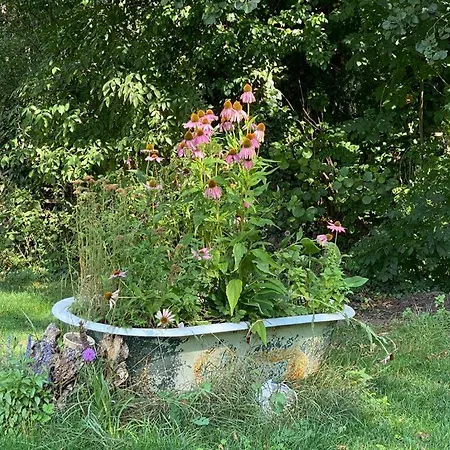 Haus Am Erlenhain Mit Sauna Und Grossem, Naturnahen Garten