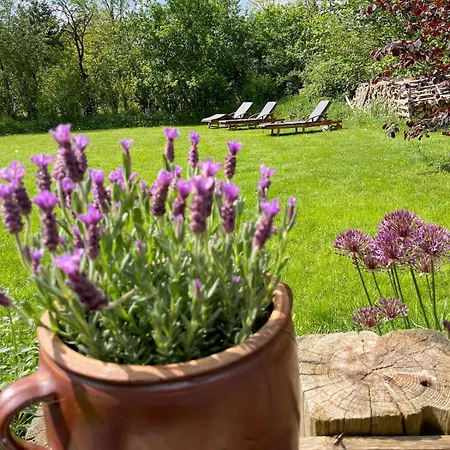 Haus Am Erlenhain Mit Sauna Und Grossem, Naturnahen Garten Feriehus *