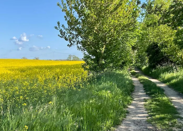 Haus Am Erlenhain Mit Sauna Und Grossem, Naturnahen Garten Grambow (Greifswald)