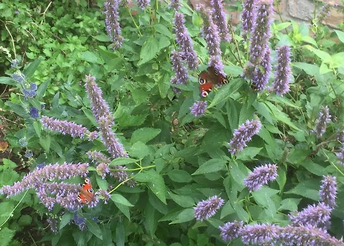 Haus Am Erlenhain Mit Sauna Und Grossem, Naturnahen Garten Dom wakacyjny