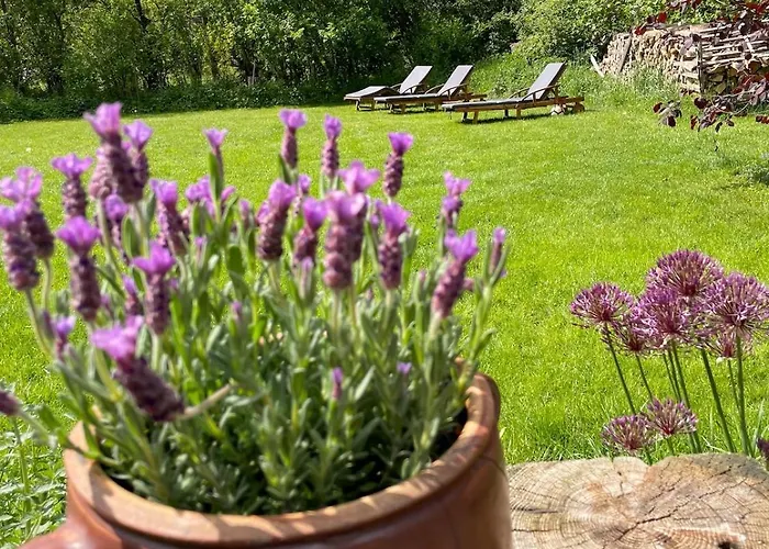 Haus Am Erlenhain Mit Sauna Und Grossem, Naturnahen Garten Dom wakacyjny *